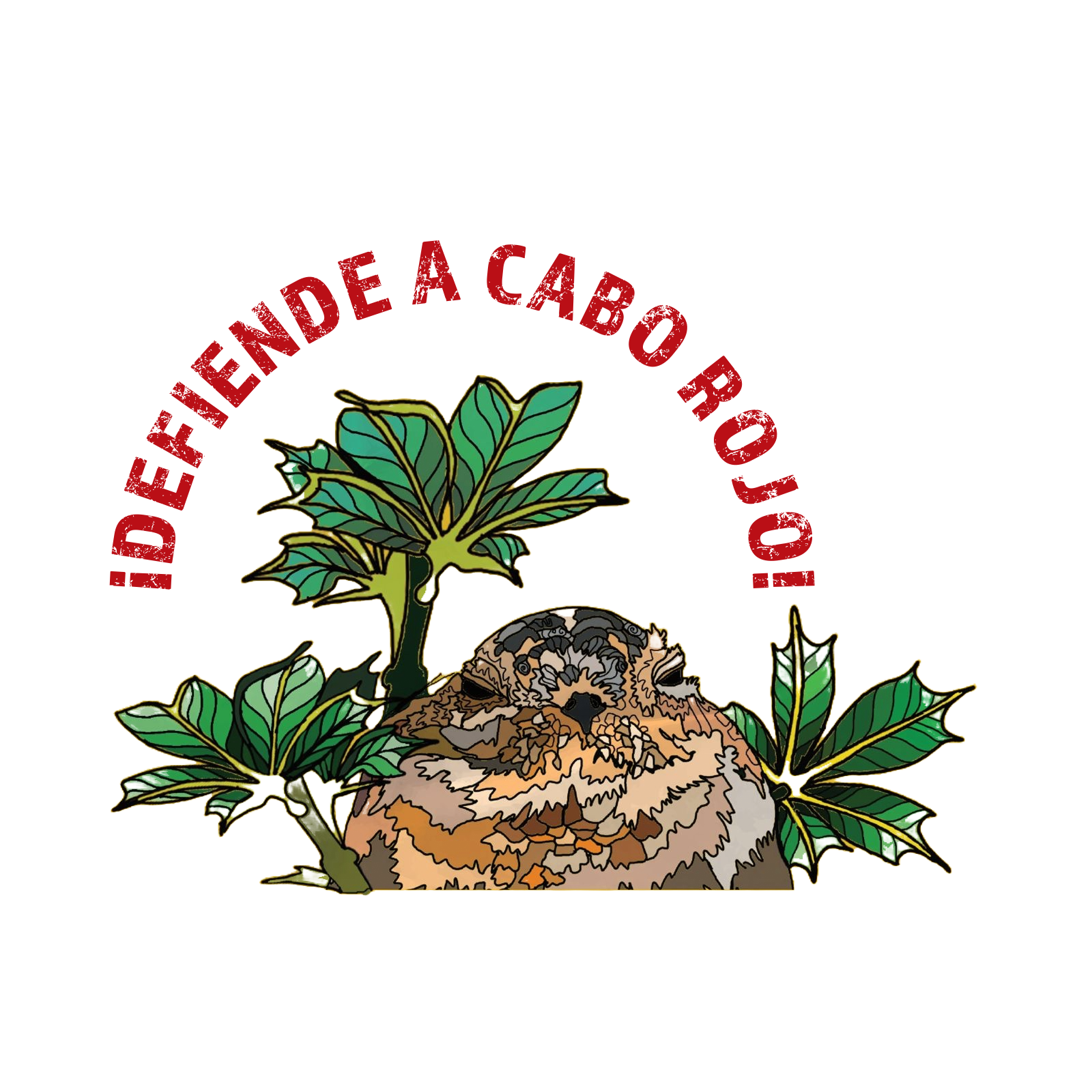 ¡Defiende a Cabo Rojo!